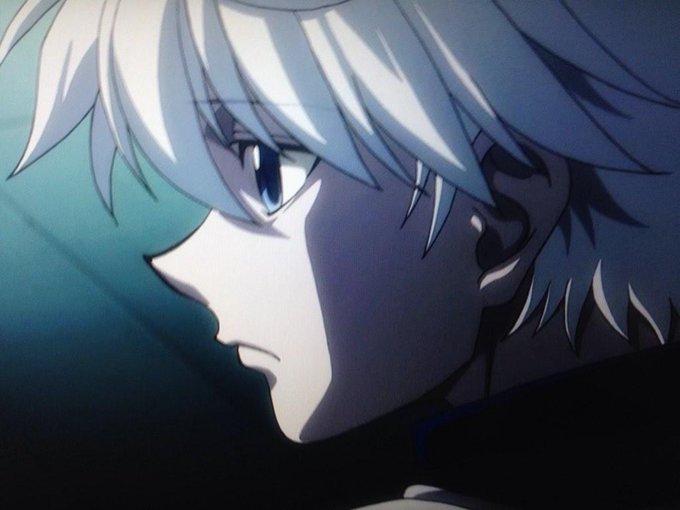 ハンターハンター イルミの死亡説を徹底調査 花の意味やヒソカとの関係を紹介 3ページ目 Selvy