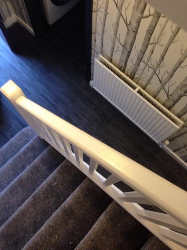 All In a days work. #goosed