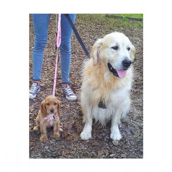 AndreaSnchezFr's tweet photo. Mis peques http://t.co/nNCAhqi52B