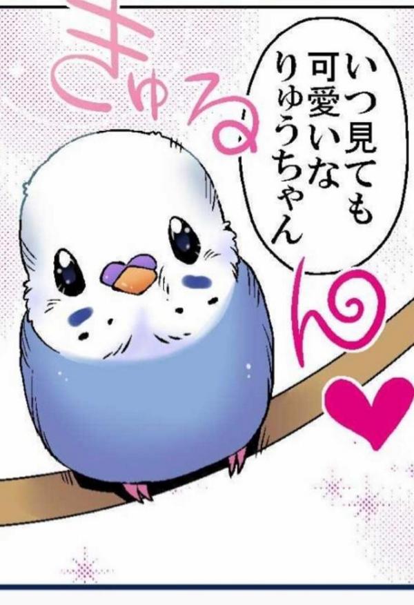 鳥キャラクター大集合 ツイート数が増える理由はね 好きな人に気づいてほしいからなんだって Http T Co Gjk2xl2zch