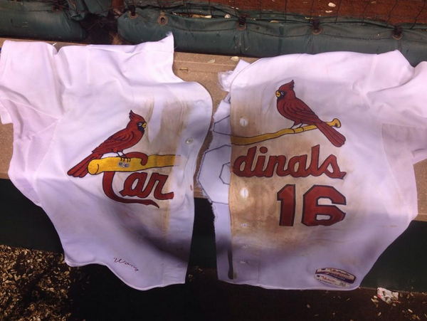 SportsCenter's tweet photo. ICYMI: The Cardinals got a little too excited while celebrating Kolten Wong's walk-off HR last night. (via @MLB_PR) http://t.co/k6nDdevKVp