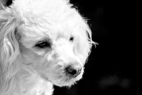 Rencontrez nos voisins #artistes :

on.fb.me/1xK8Od5

#Yakaz #artists #Facebook