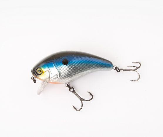 Als Neuheit im Shop möchten wir euch heut die #Wobbler und #Jerkbaits von #Fox Rage vorstellen.goo.gl/UzMyd3