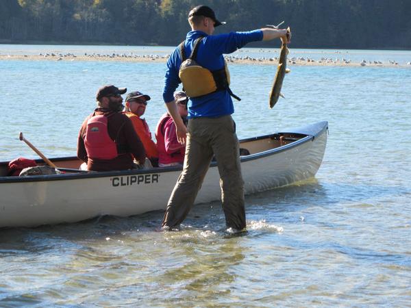 Salmon run #canoe adventure!