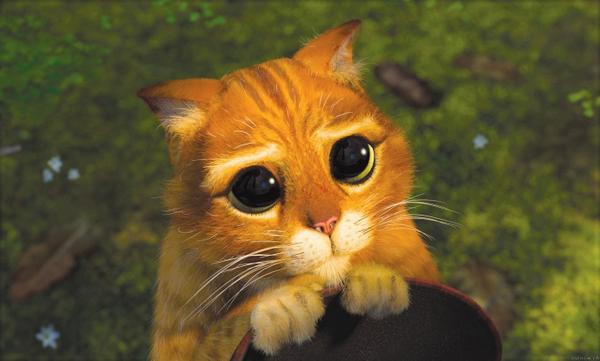 annamatarile's tweet photo. El valor de les mirades #CA0925 http://t.co/DAHRc3mz4L