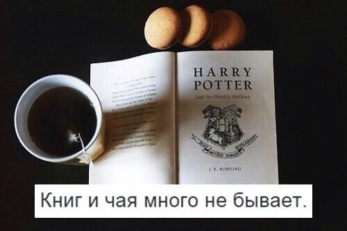 olyaand3's tweet image. 