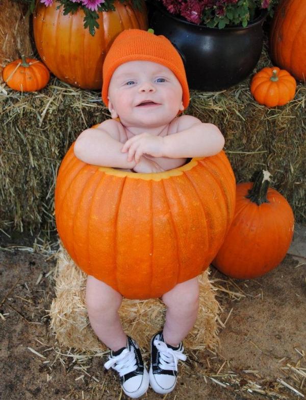 Тыква ребенку до года. Тыква бэби бум. Фотосессия с тыквами. Фотосессия с тыквами. Занятие тыква для малышей.