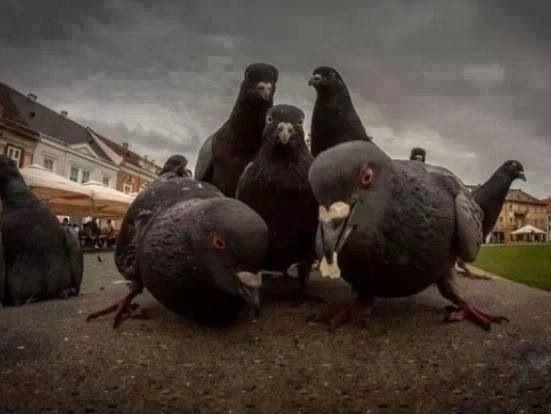 Télécharger gratuitement Images Minga On Twitter Touche A Un Membre De Ma Clique Negro Tu le plus cool par