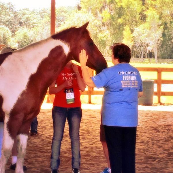Equine therapy for <a href="/TAPS4America/">TAPS4America</a>  families in FL <a href="/TAPS4SS/">TAPSSuicideSurvivors</a>~<a href="/WIHS/">Washington International Horse Show</a> starts 10/21~they help TAPS &amp; equine therapy centers.