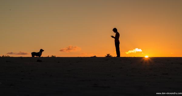 a7exandre's tweet photo. Play! #dogtraining #Sunset #CanonRemote #BurrowBeach @rte @CanonIreland @Independent_ie http://t.co/3VlqeAHxpX http://t.co/jWDxGFIvJ9