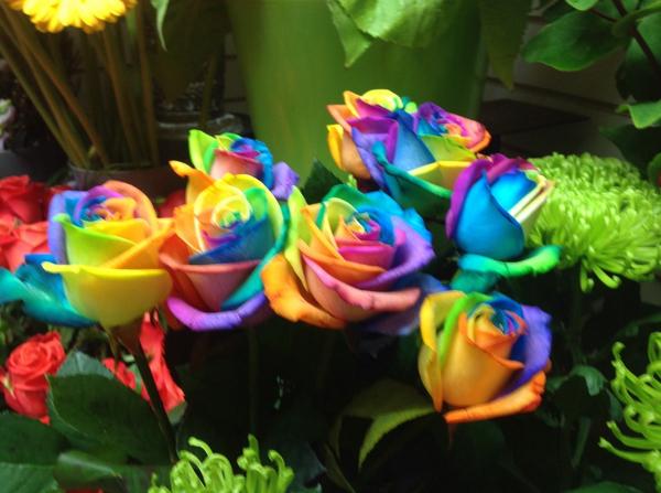 StudleyFlorist's tweet photo. Gorgeous rainbow roses in today http://t.co/1qlHO6hQK9