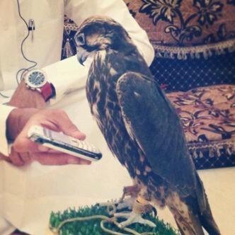 bs2023's tweet image. 