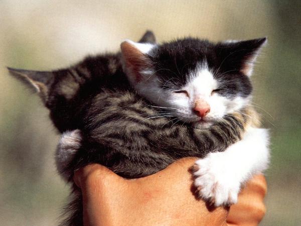 Miss_Lulu1's tweet photo. @attackkarma @duine71 @danielalippke @1sa3 @lindatellier3 @BATBFawn @pmessi @Annie031 😘😘😘😘💞💕💕💕 http://t.co/cmHvnEidv1