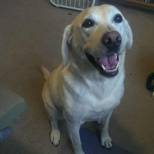 Embedded image permalink