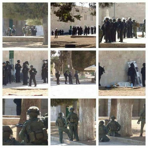 DotQuds's tweet photo. حال المسجد الأقصى اليوم
#الأقصى_يستغيث http://t.co/Yh0akKFgnU