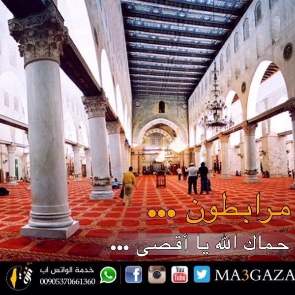 DotQuds's tweet photo. ما دورنا اتجاه ما يحدث في الأقصى؟
#الأقصى_يستغيث #الأقصى_في_خطر http://t.co/hBkfKO3KSd