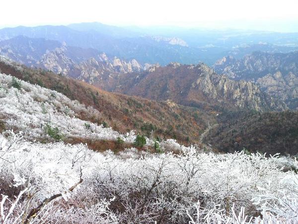 dubugii's tweet photo. ##설악산에서 올 첫 상고대가 관측됐답니다!
중청대피소 근처인데, 
가을단풍과 대비된 모습이 더 멋지네요~
오늘 아침 설악산 대청봉은 영하1도까지떨어졌습니다~ http://t.co/z7PWb1yGXF