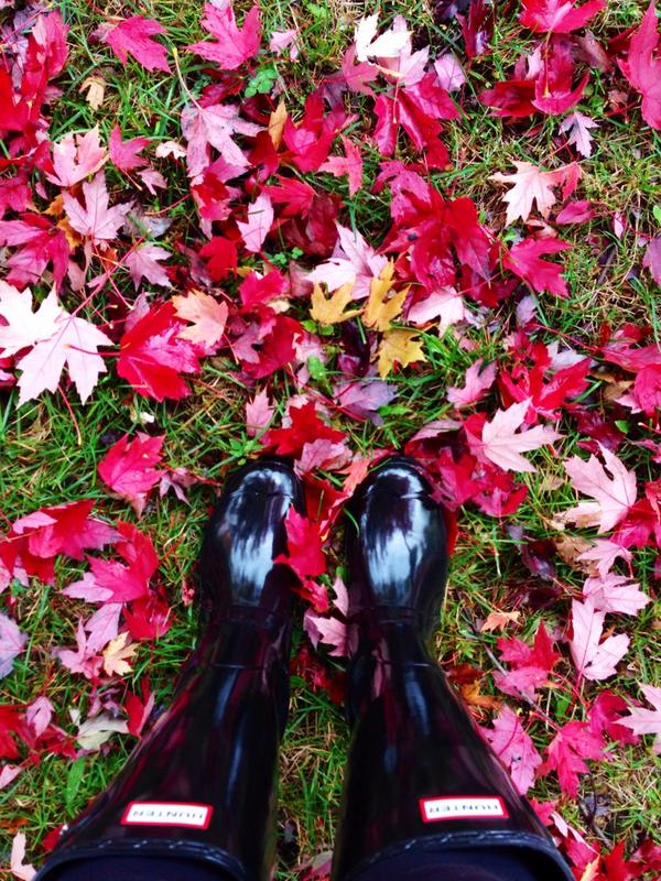sydneygroot's tweet photo. Just kind of obsessed with fall here😍🍃🍂☔️ http://t.co/wKZ9kI40v6