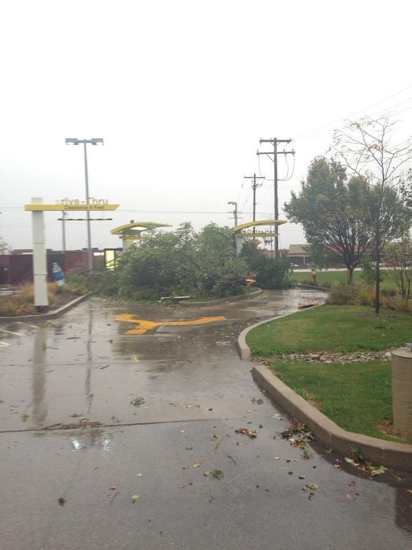 ShanteleVision's tweet image. Storm damage in Decatur. @wics_abc20