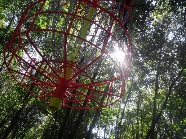 disc_hippie's tweet image. Best photo of our hanging bucket so far @BonnieBrookDGC @PDGA #discgolf