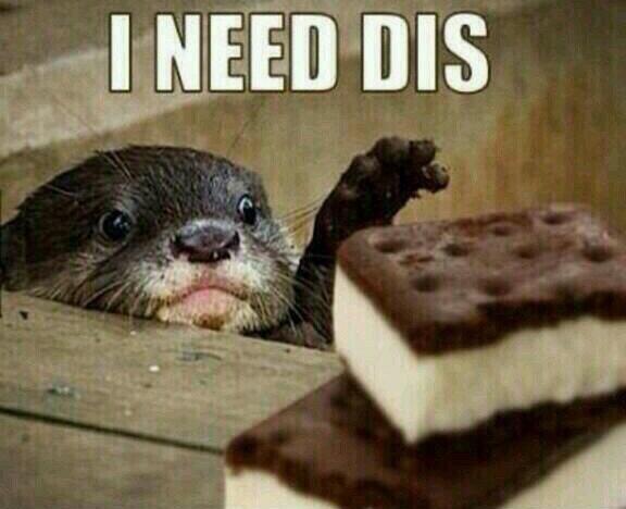 SpeakComedy's tweet photo. It's almost swinsuit season and i'm just like http://t.co/SrPNy7NRwO