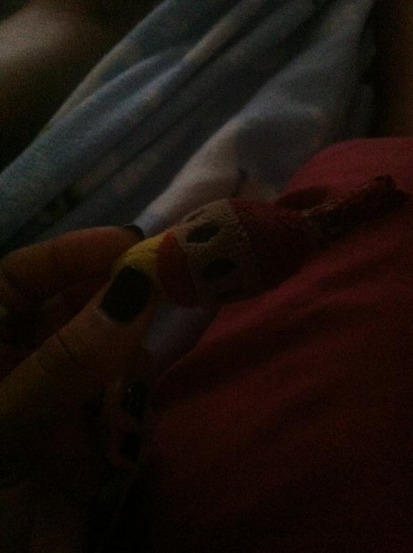 NunneryT's tweet photo. my dog tore the head off her toy😂😂 http://t.co/43jMEL3D00