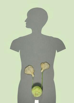 QRNOQ's tweet photo. صور جميلة بدون تعليق تحفز على تناول الخضروات وتوضح اهمية كل نوع وفائدته ..!! http://t.co/yVdzWgYClS