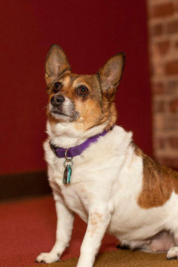 Embedded image permalink