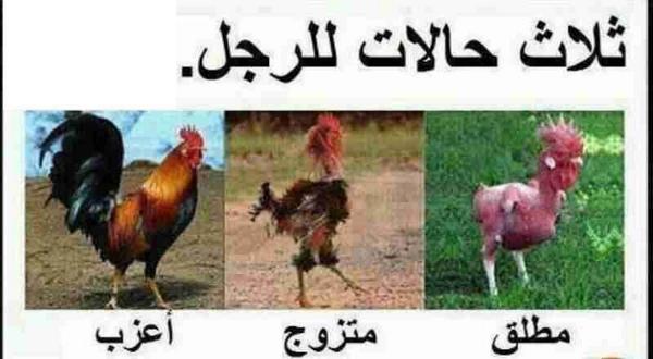 ثلات حالات للرجـــــــــــــــــــل :)