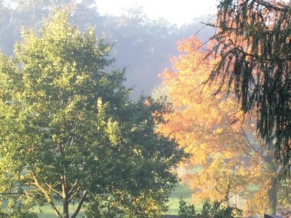 Magnifique journée d automne <a href="/CP_troisforets/">CP</a> <a href="/StephaneHertzog/">stephane hertzog</a> . Et vous vous êtes où ?