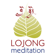 108collective's tweet photo. Presenting a unique opportunity to learn #meditation from an #Authentic teacher in #Melb http://t.co/Dw1lmF7qyD http://t.co/tfqLMlhDZW