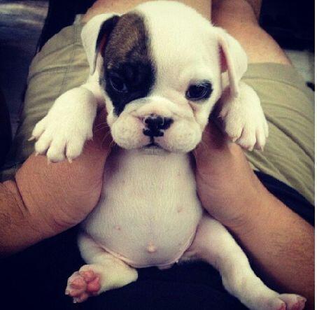 fbm_liebre's tweet photo. "@_Paisajes_: Mirad que hermosura! http://t.co/wJrb1pTaMG" @vero_TF7