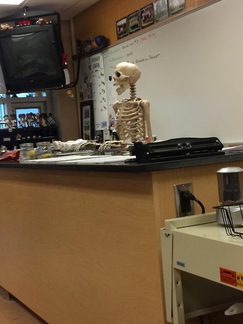 afhsnews's tweet photo. #news
some of you may have noticed the new teacher we hired for october
mr skeleton
#news
#nofilter http://t.co/WVn9XXUBnL