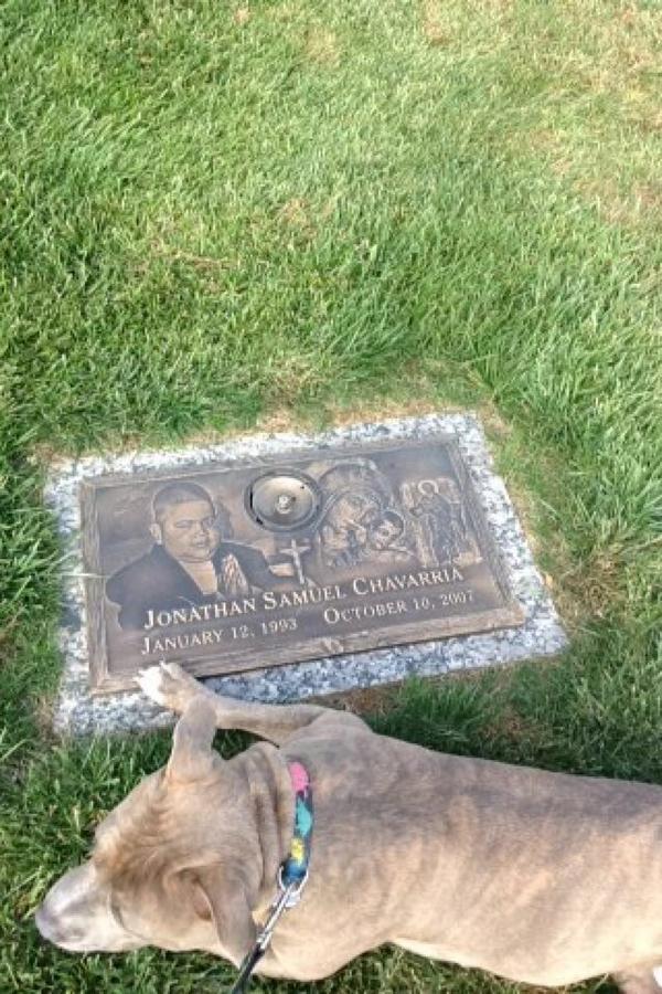 Arod92_'s tweet image. Lost a lot of friends and family over the years, RIP to all. #RIPJonathan