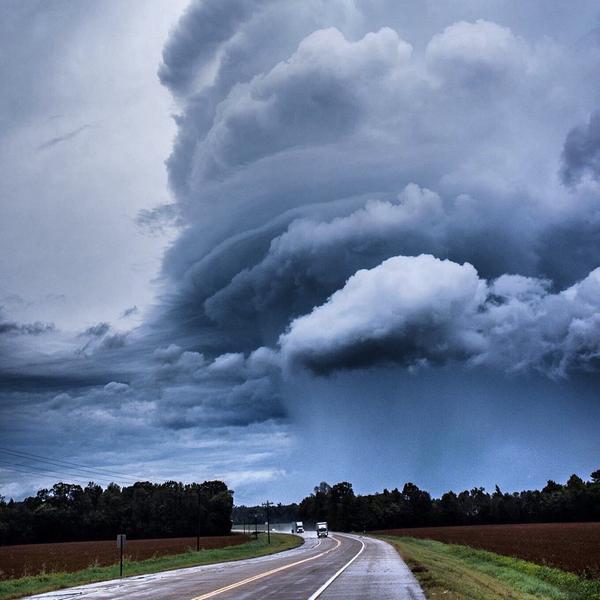 Elizabeth Cowan (ElizabethCowa14) Twitter