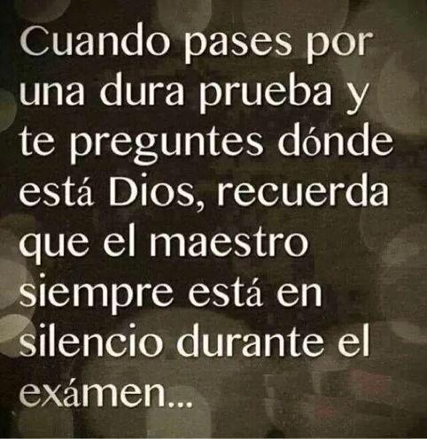 Leady961's tweet photo. "@meredith976: Feliz dia http://t.co/JSSi5iliZu"@mm315