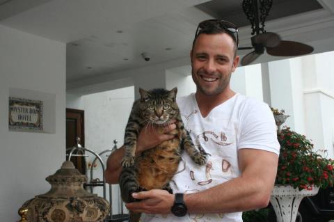 TomEatonSA's tweet photo. This cat is like "They recommended COMMUNITY SERVICE?!" #OscarTrial http://t.co/bTZkQ3k8uq
