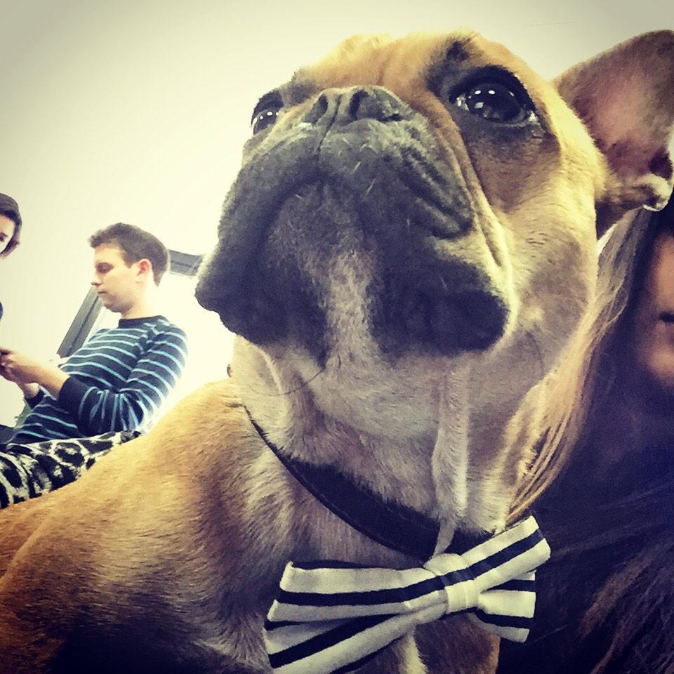 Embedded image permalink