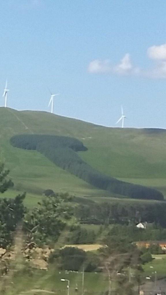 realjknoxville's tweet photo. Some asshole really went out of there way to landscape this. 😄👍#thatlookslikeadick http://t.co/RNyjj9aHI2