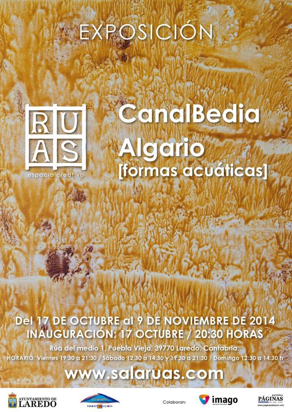 ¿Te apetece un viaje al fondo del mar? Acompáñanos a partir del jueves con Algario, la nueva exposición de CanalBedia