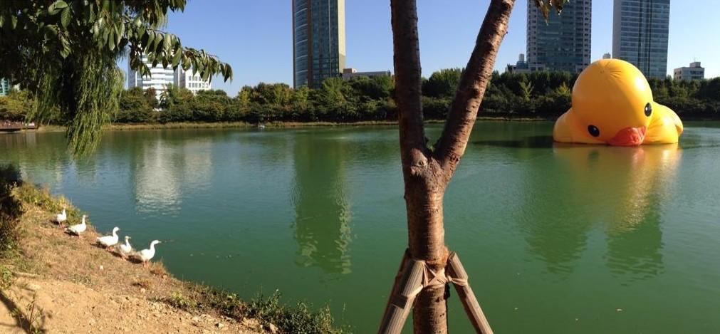 Embedded image permalink