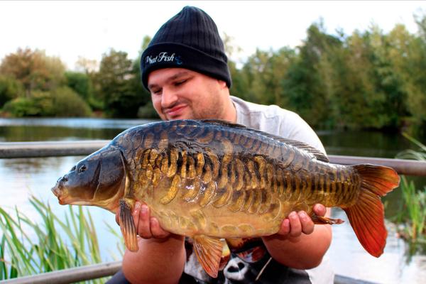 Little <a href="/Farlowslake1/">Farlowslake</a> stunner from last week on Lake 2 .