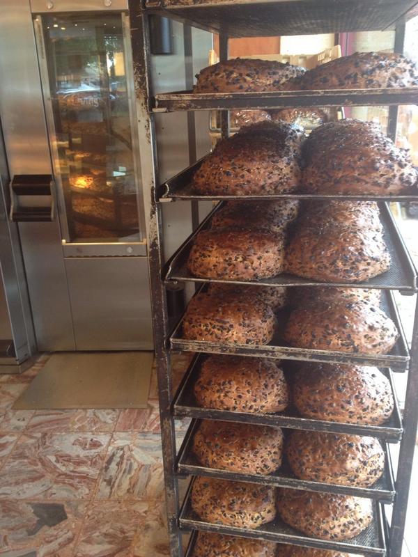 Iedere dag verse @zuidlaarderbollen