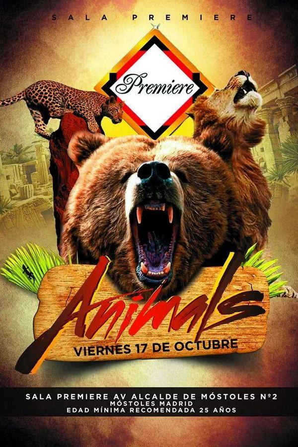danielpremiere's tweet photo. vamos todos a @salapremiere a disfrutar de nuestro instinto animal... te esperamos este fin de semana en ANIMALS http://t.co/exhSne4ERO