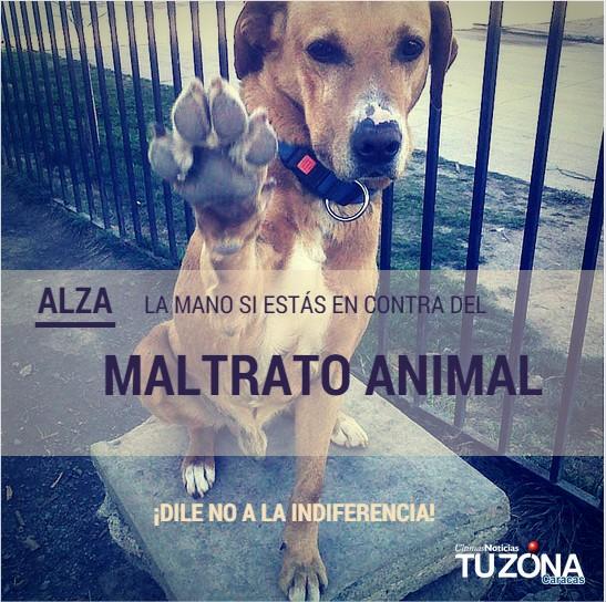 tuzonacaracas tweet picture