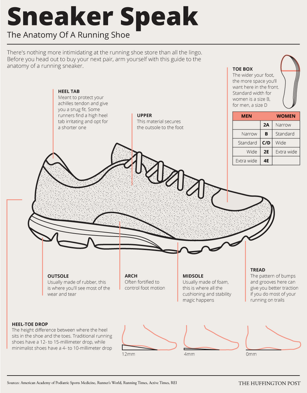 Choose_PT's tweet photo. The anatomy of a running shoe. http://t.co/SLYxj0ONCi http://t.co/jmEVNrflgt