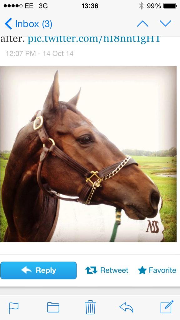 LaurenceBellman's tweet image. Countryman the morning after his win @niallsaville @realmrssaville @SheldonRussell1