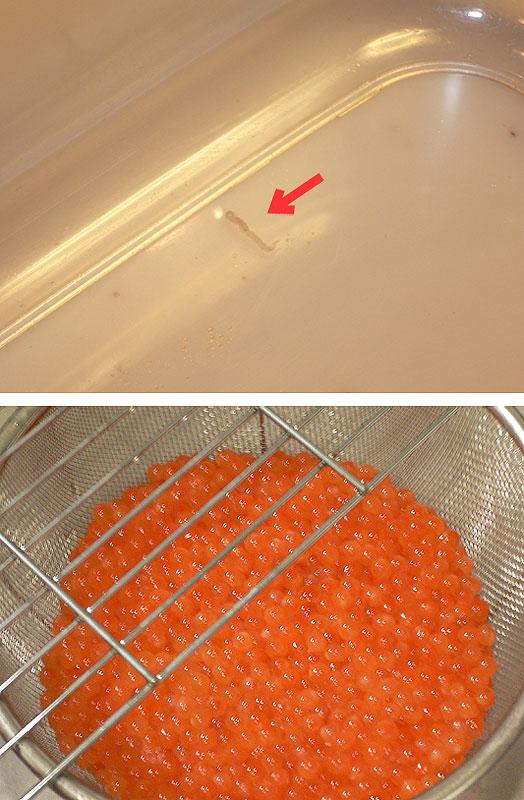 트위터의 きあ 님 Kia Ruruten 寄生虫写真注意 このやり方で筋子ほぐしてイクラ作ろうとしてる方 激しい腹痛を起こす寄生虫アニサキスがついてることがあるので注意してください Http T Co 07kqqodfau