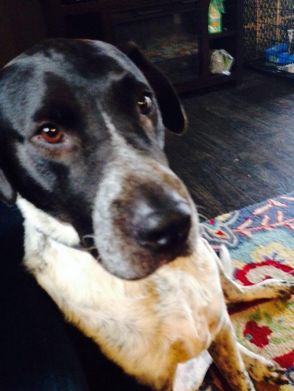 DukeOfSnuggles's tweet image. Hey, @NerdyEmmett2, did you know we're under a weather watch?