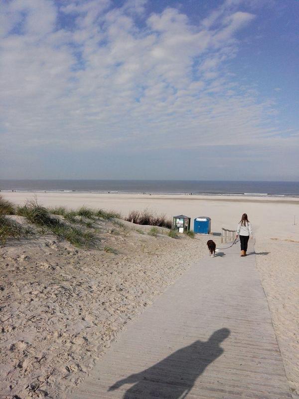scholand1998's tweet photo. It was perfect👌 #juist #northsea http://t.co/at1k4YNygr